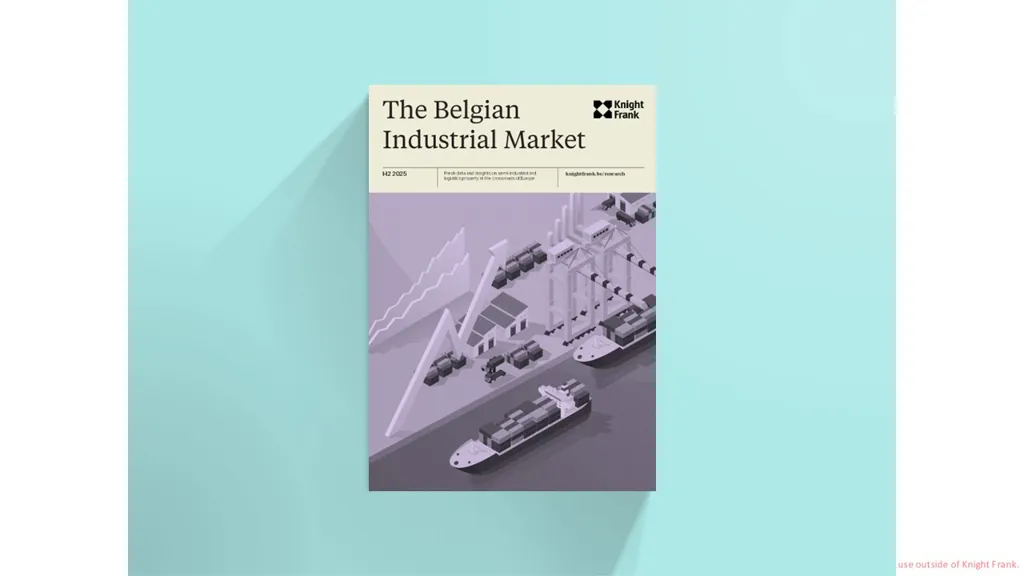 Image of The Belgian Industrial Market
